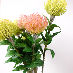 Artificial Leucospermum Stem 70cmH