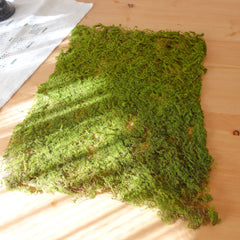 Artificial Moss Mat 24cmx30cm