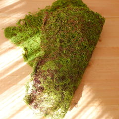 Artificial Moss Mat 24cmx30cm