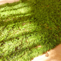 Artificial Moss Mat 24cmx30cm