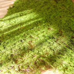 Artificial Moss Mat 24cmx30cm