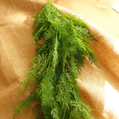 Artificial Fern Garland 90cmH