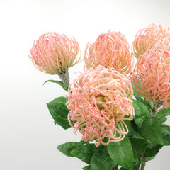 Artificial Leucospermum Stem 70cmH