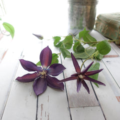 Artificial Clematis Flower 71cmH