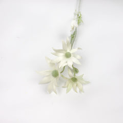 Artificial Flannel Flower 46cmH