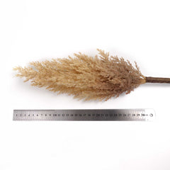 Reed Pampas Grass Spray 83cmH