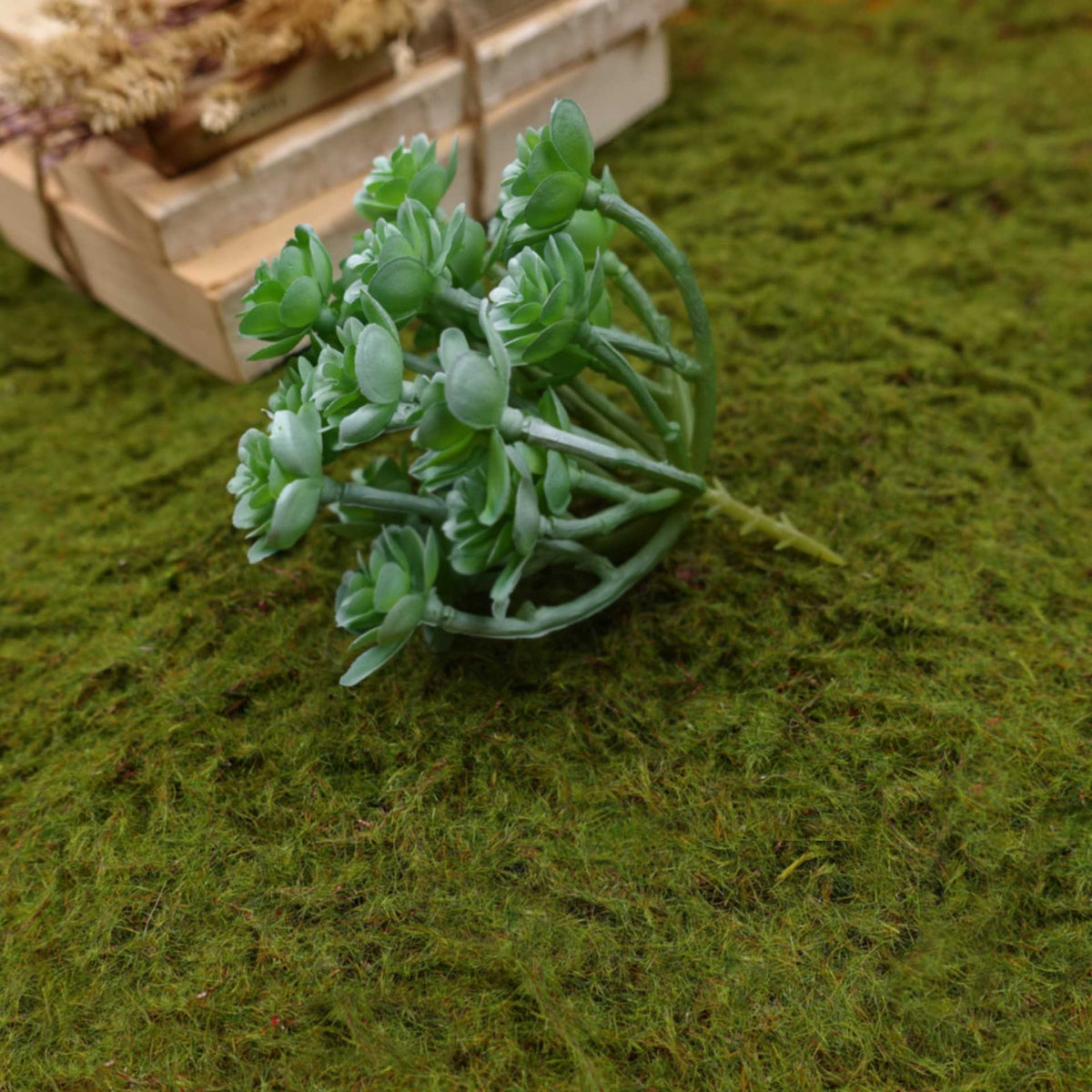 Artificial Succulent (Type 6)