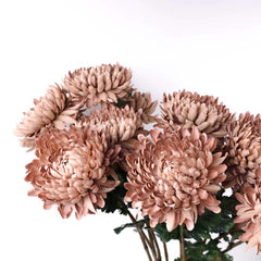 Oversized Artificial Chrysanthemum 76cmH