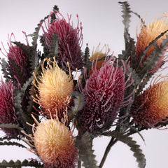 2 Heads Artificial Banksia 79cmH