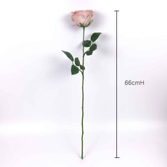 Big Head Artificial Garden Rose Stem 66cmH