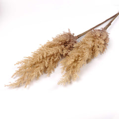 Reed Pampas Grass Spray 83cmH