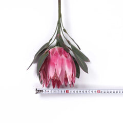 Big Size Protea King Flower Bloom 76cmH