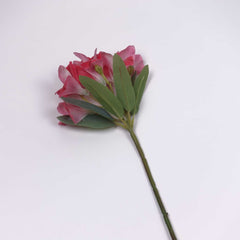 Real-touch Peruvian Lily Stem 65cmH