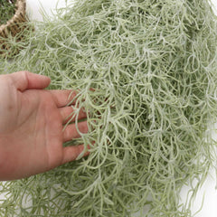 Spanish Moss Hanging Garland 75cmH