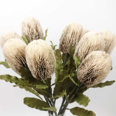 Dried-look Artificial Banksia Stem 65cmH