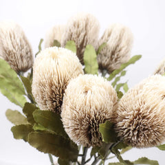 Dried-look Artificial Banksia Stem 65cmH