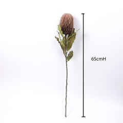 Dried-look Artificial Banksia Stem 65cmH