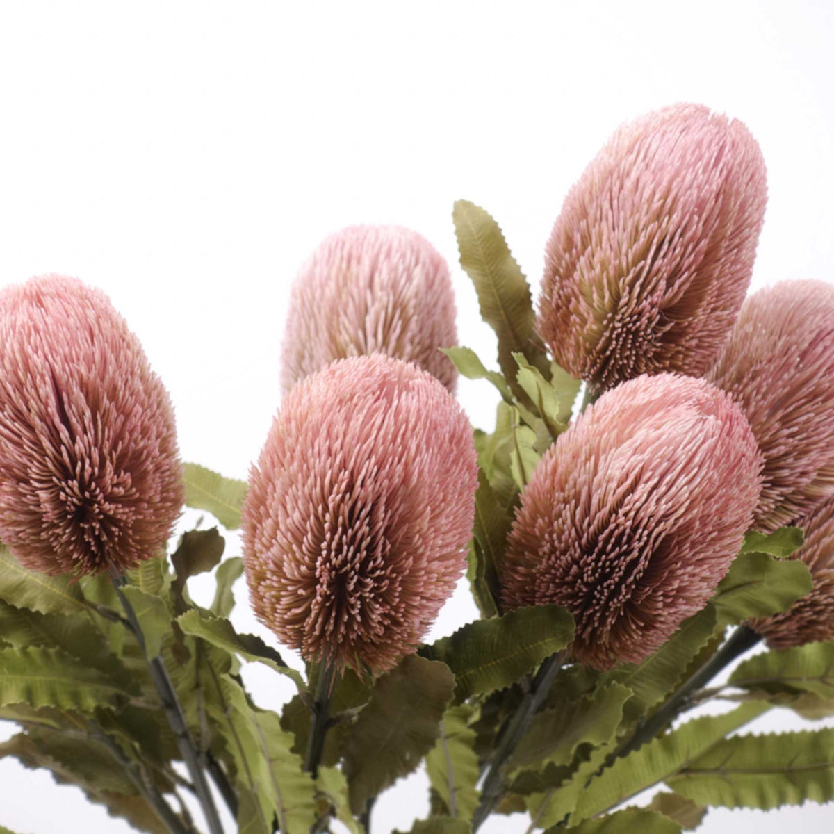 Dried-look Artificial Banksia Stem 65cmH