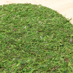 Artificial Moss Mat Sticker 35cmD Round-shaped