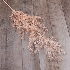 Dried-look Reed Leaf Spray  80cmH