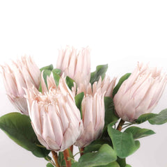 Artificial Queen Protea Stem 67cmH