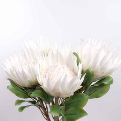 Big Size Artificial King Protea Flower Bloom 73cmH