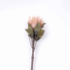 Big Size Artificial King Protea Flower Bloom  73cmH