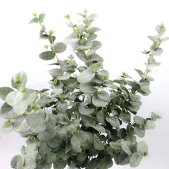 Eucalyptus Long Spray 105cmH