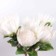 Big Size Artificial King Protea Flower Bloom 73cmH