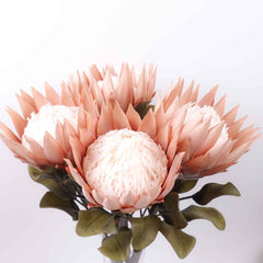 Big Size Artificial King Protea Flower Bloom  73cmH