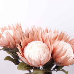 Big Size Artificial King Protea Flower Bloom  73cmH