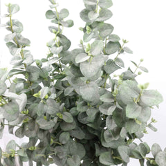 Eucalyptus Long Spray 105cmH