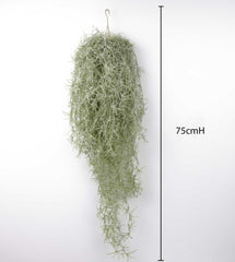 Spanish Moss Hanging Garland 75cmH