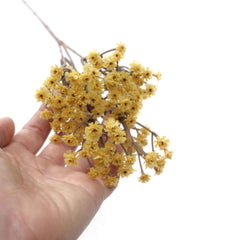 Real-touch Gypsophila Baby's Breath Spray 65cmH