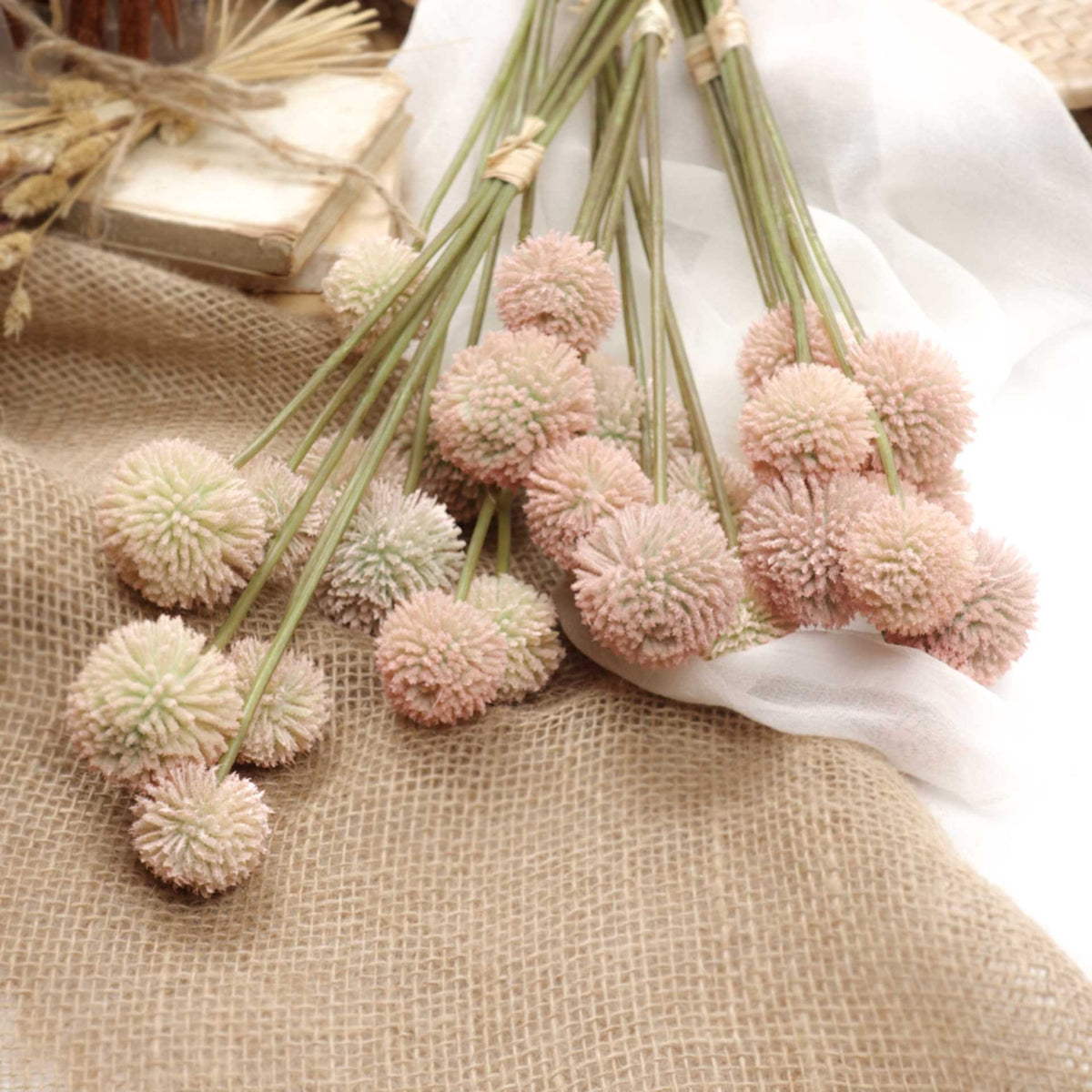 5 Stems Billy Button Bunch 49cmH