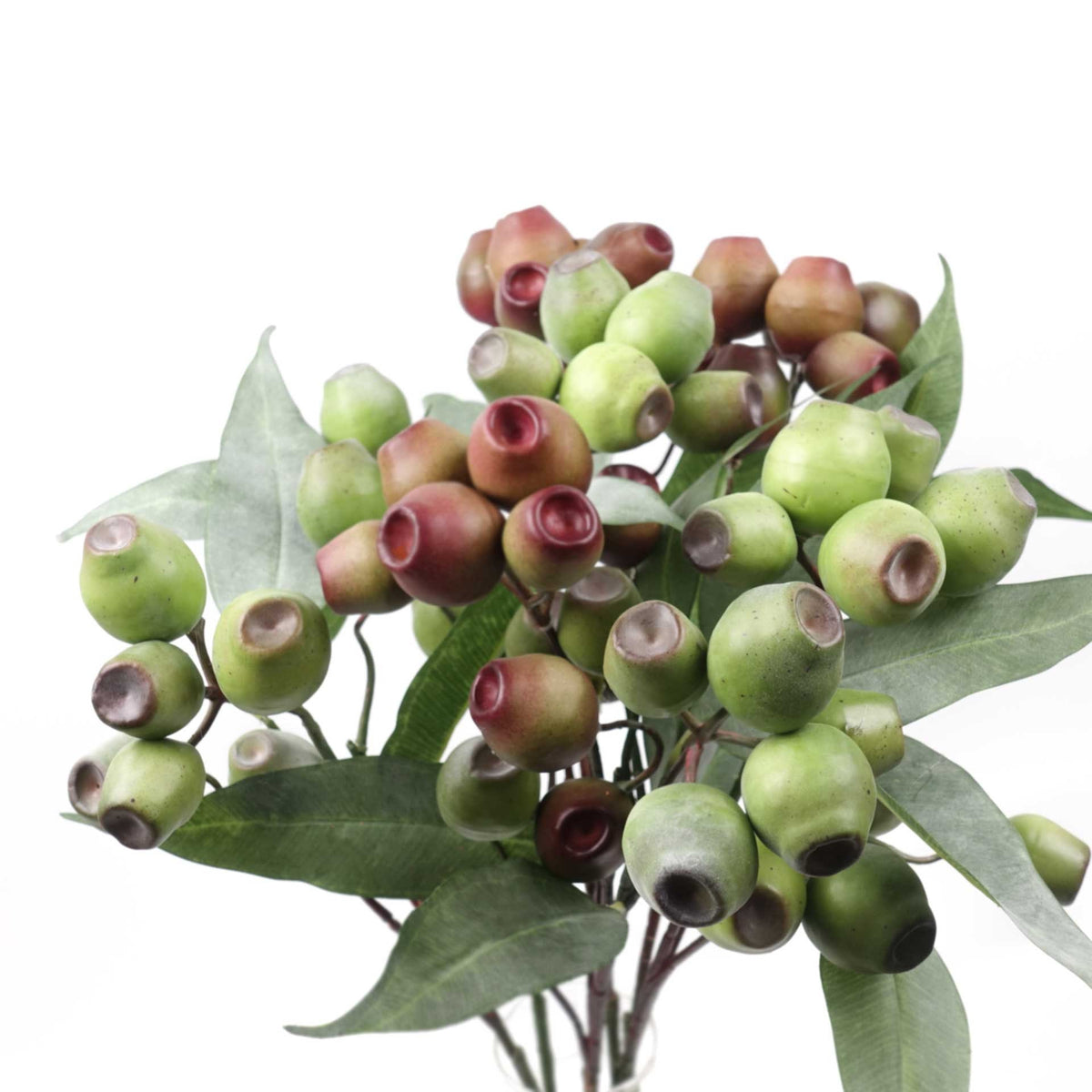 Eucalyptus Gum Nut Branch 64cmH