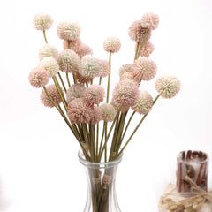 5 Stems Billy Button Bunch 49cmH