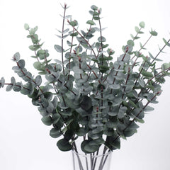 Eucalyptus Silver Dollar Spray 60cmH