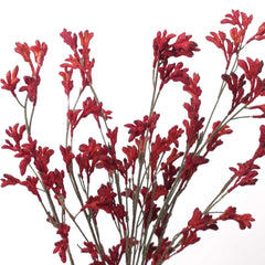 Artificial Kangaroo Paw Spray 85cmH