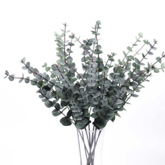 Eucalyptus Silver Dollar Spray 60cmH