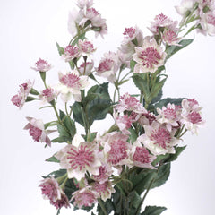 Artificial Astrantia Spray 49cmH