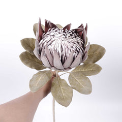 Dried-look King Protea Bloom 74cmH