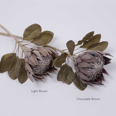 Dried-look King Protea Bloom 74cmH