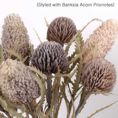 Artificial Banksia Sawtooth 63cmH