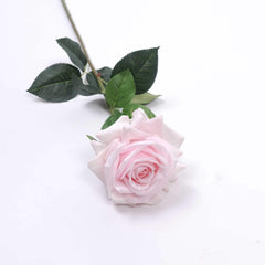 Real Touch Garden Rose Stem(Type1) 75cmH