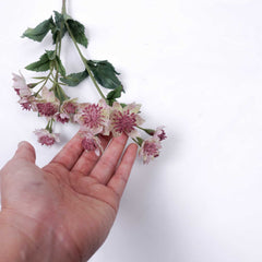 Artificial Astrantia Spray 49cmH