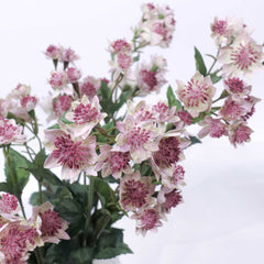 Artificial Astrantia Spray 49cmH