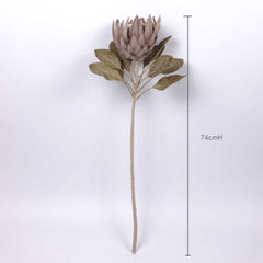 Dried-look King Protea Bloom 74cmH