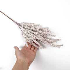 Dried-look Reed Grass Spray 71cmH