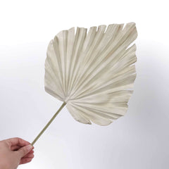 Artificial Palm Fan Spear Stem 56cmH